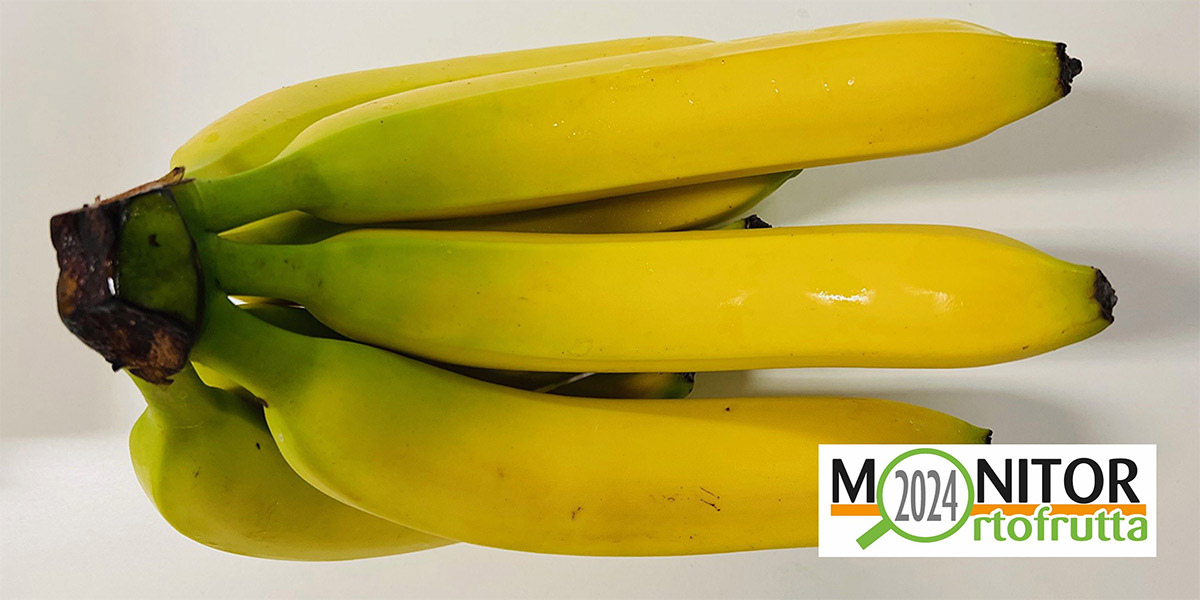 Le banane non conoscono crisi: volano i consumi in Gdo